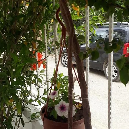 Stella * Fethiye