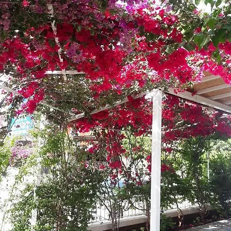 Stella * Fethiye