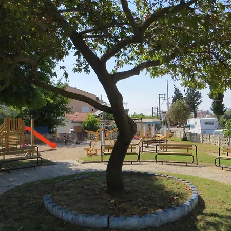 Stella * Φετιγιέ